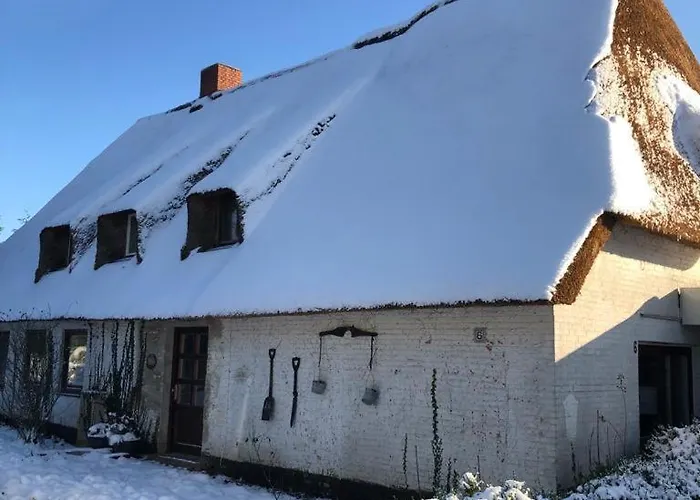 Große Strandkrabbe - Ferienwohnung im Reetdachhaus
