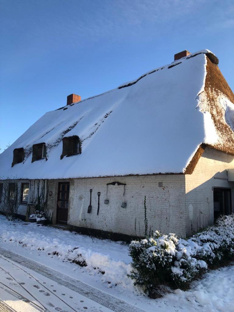 Apartment Große Strandkrabbe - Im Reetdachhaus *