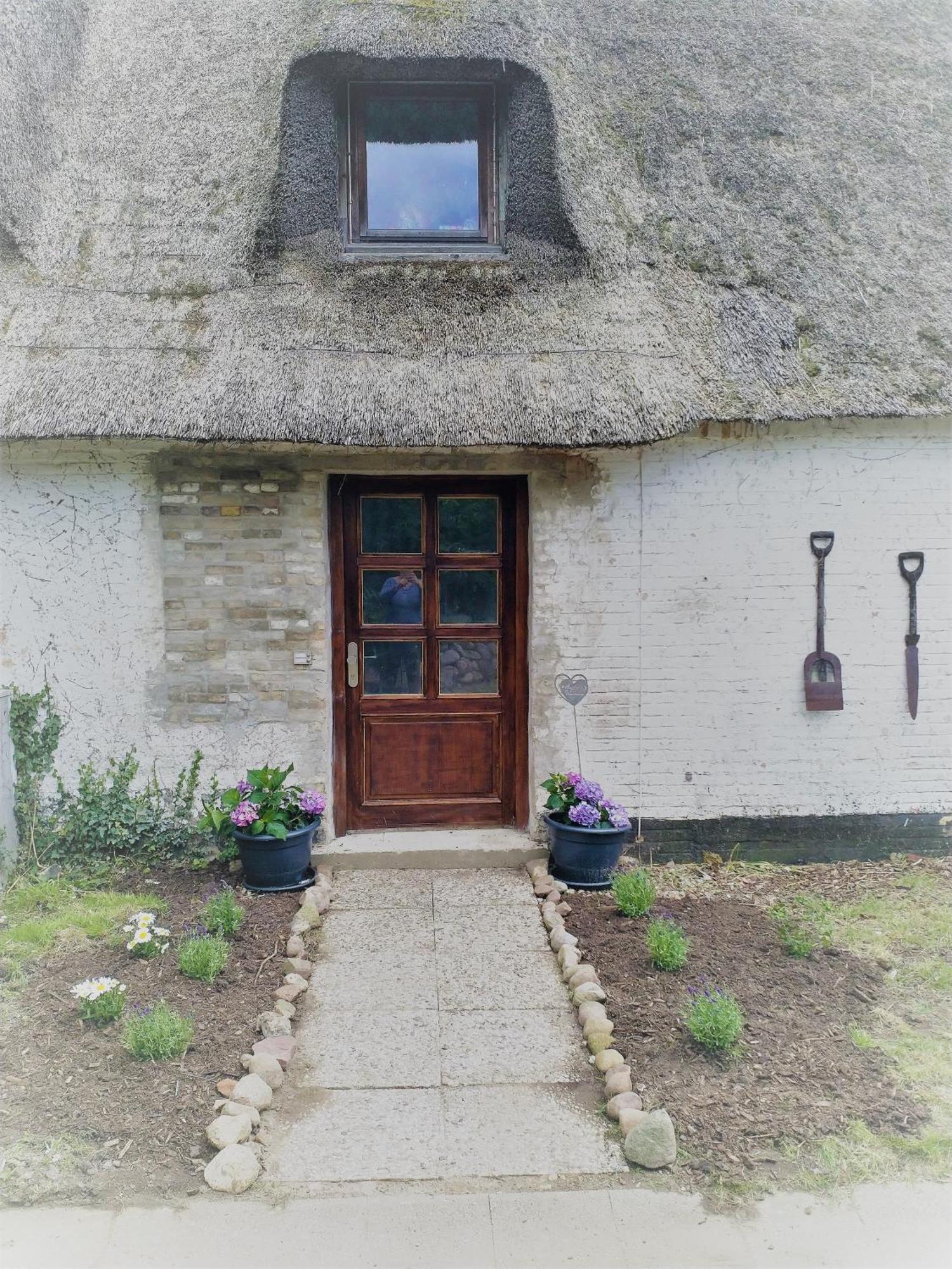 Apartment Große Strandkrabbe - Im Reetdachhaus *